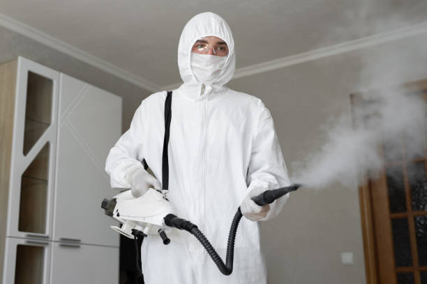 Best Mold Remediation for Vacation Homes  in Merian, ID